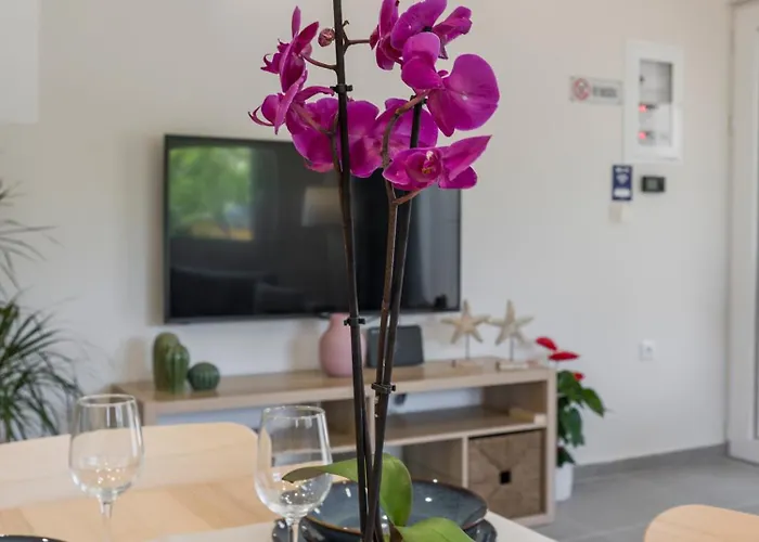 Eranthis Apartament Chania (Crete)