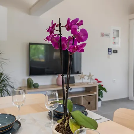 Eranthis Apartman Hriszí Aktí Haniá